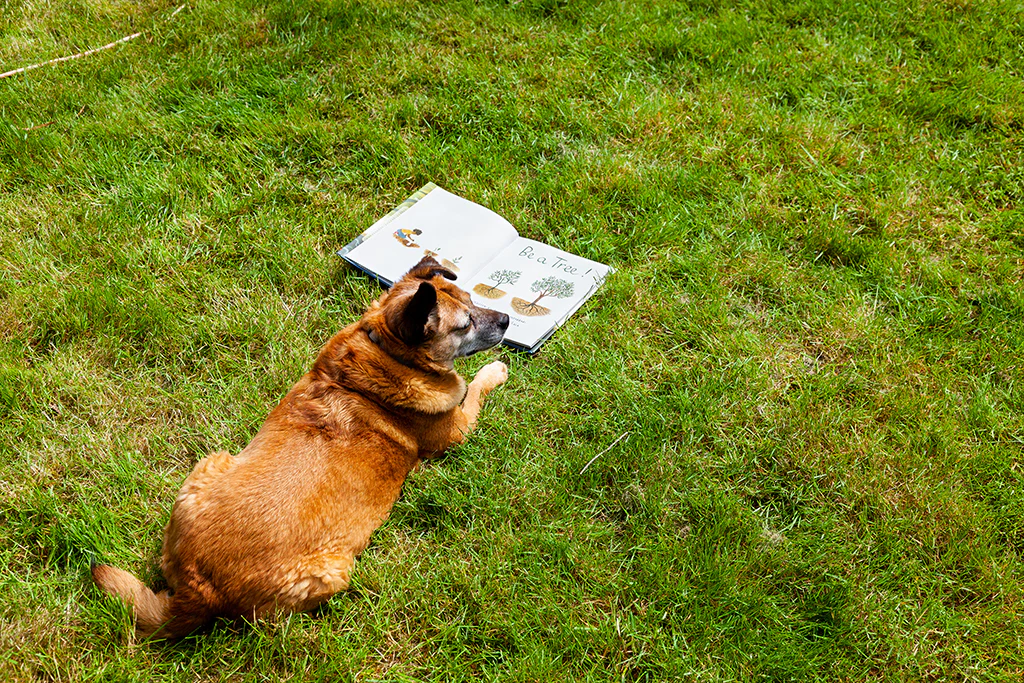 Be a Tree - by Maria Gianferrari - Image 3