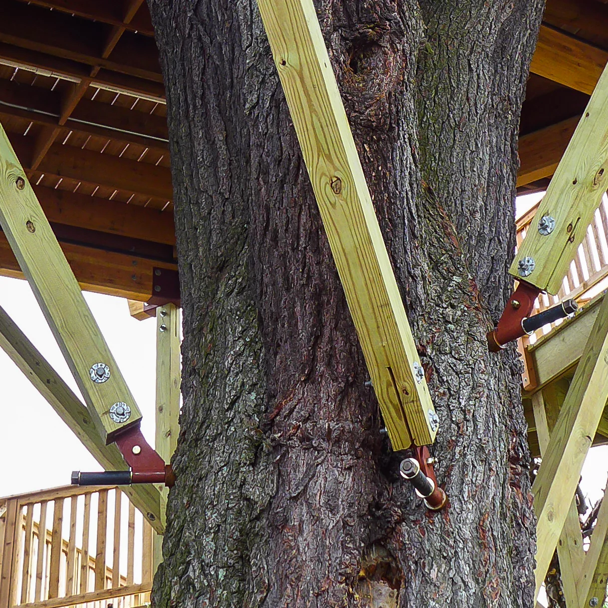 TAB Wood Strut - Image 5