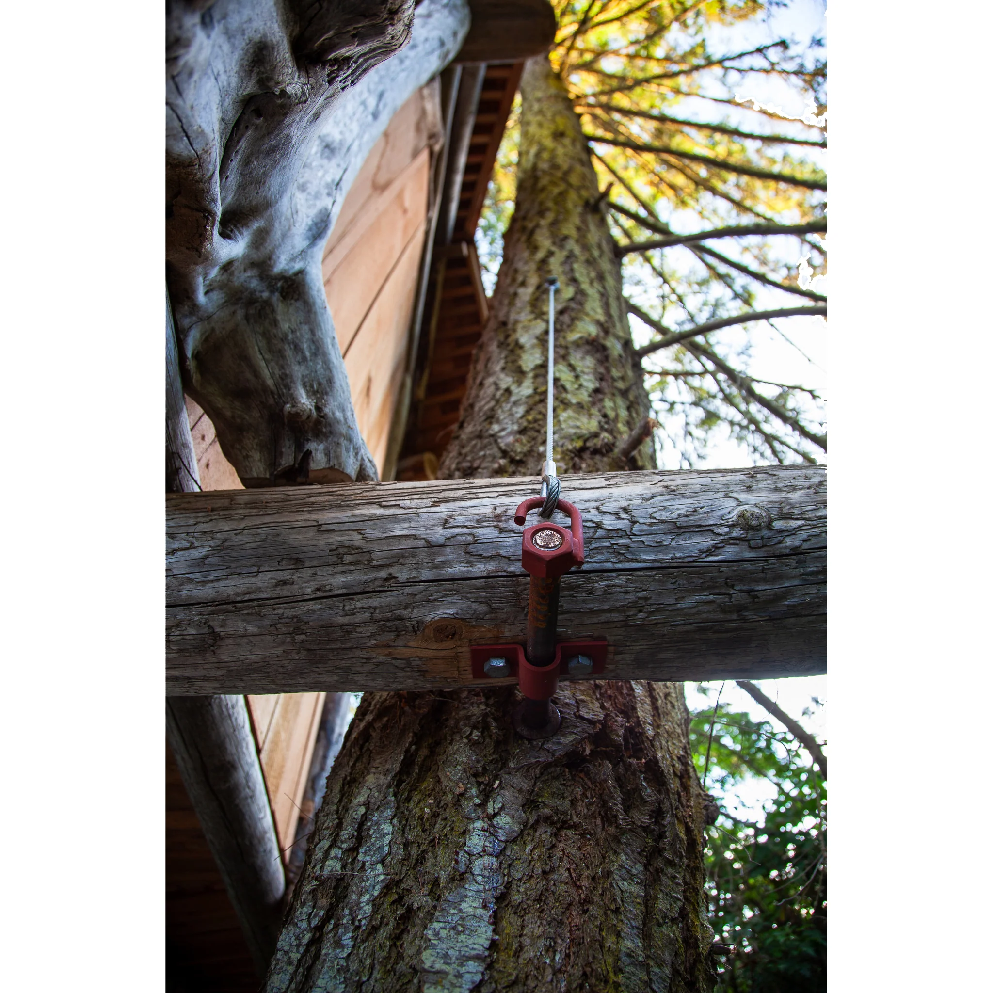 Tree Fort Cable Back Up - Image 8