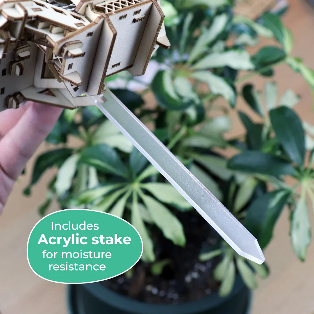 Forest Cottage - Image 14