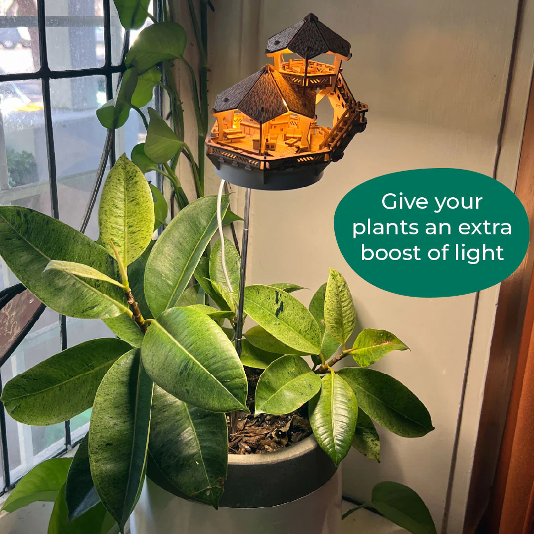 Island Cabana + Grow Light - Image 9