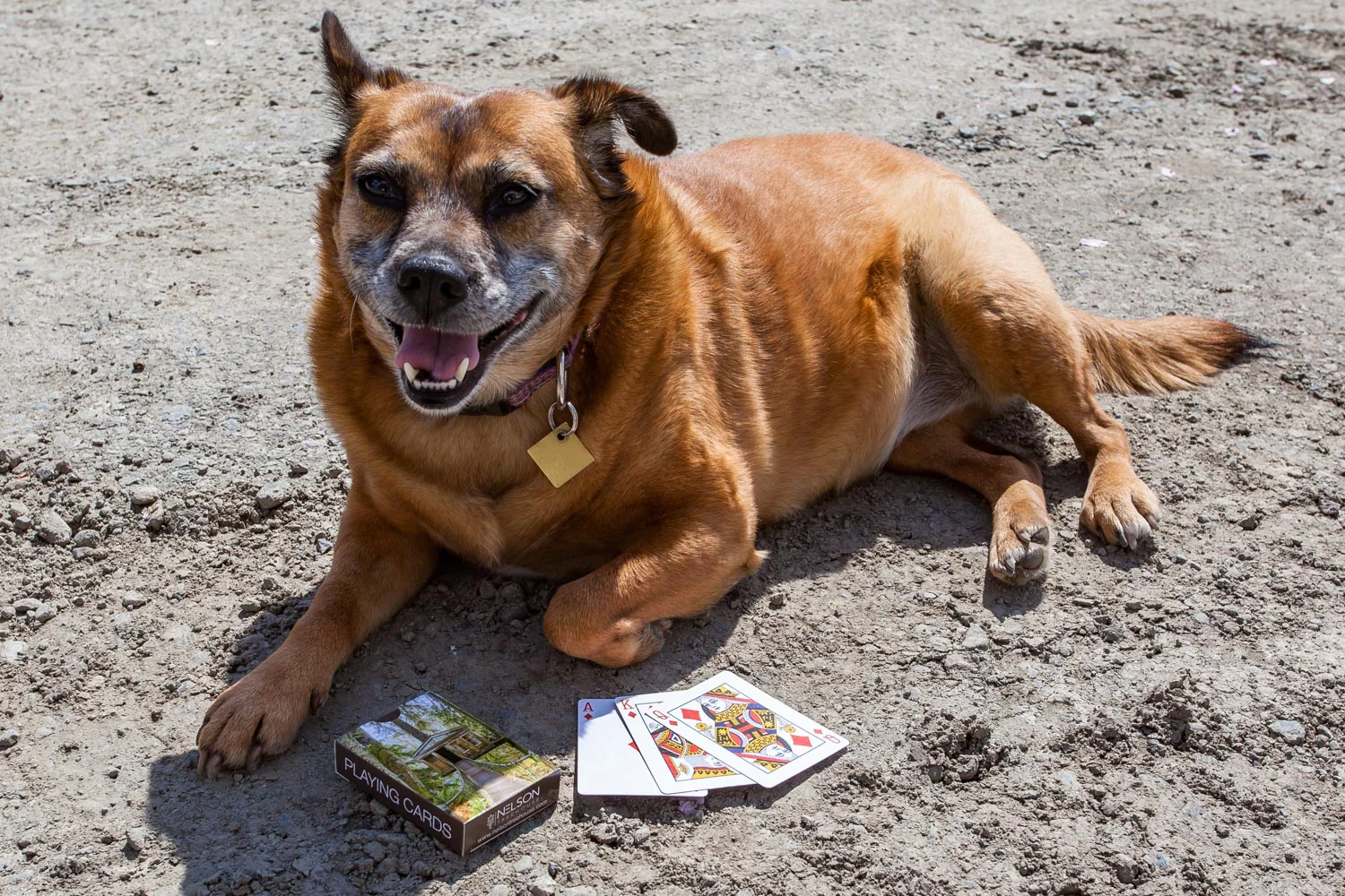 Playing Cards - Temple of the Blue Moon - Image 8