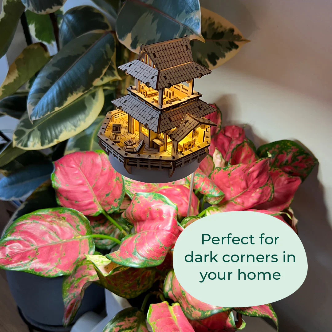 Sunrise Terrace + Grow Light - Image 11