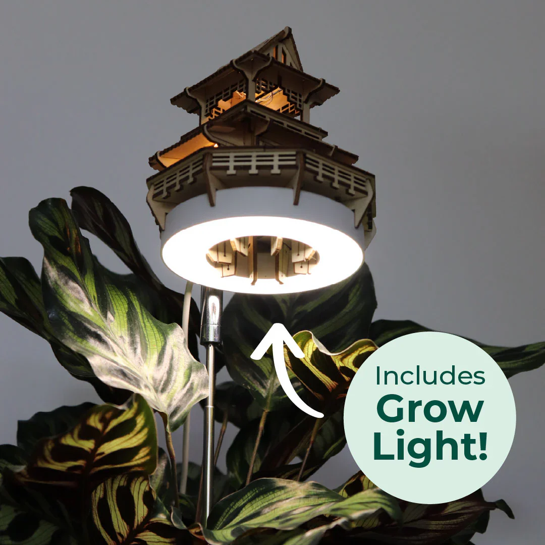 Sunrise Terrace + Grow Light - Image 7