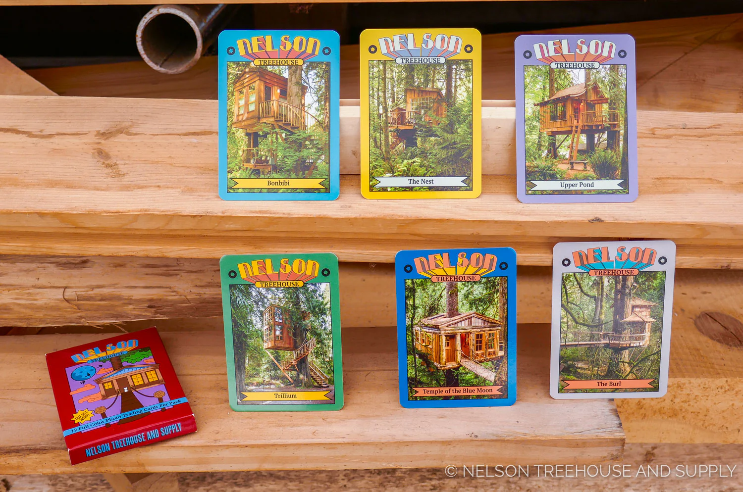 Treehouse Trading Cards - Image 11
