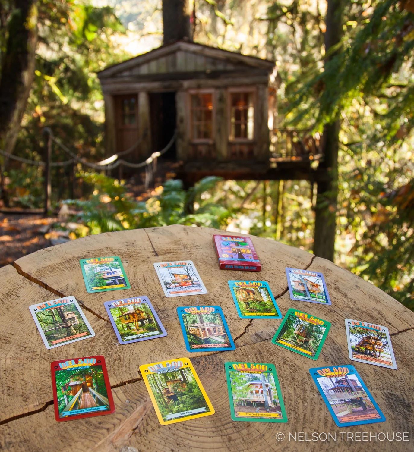 Treehouse Trading Cards - Image 6