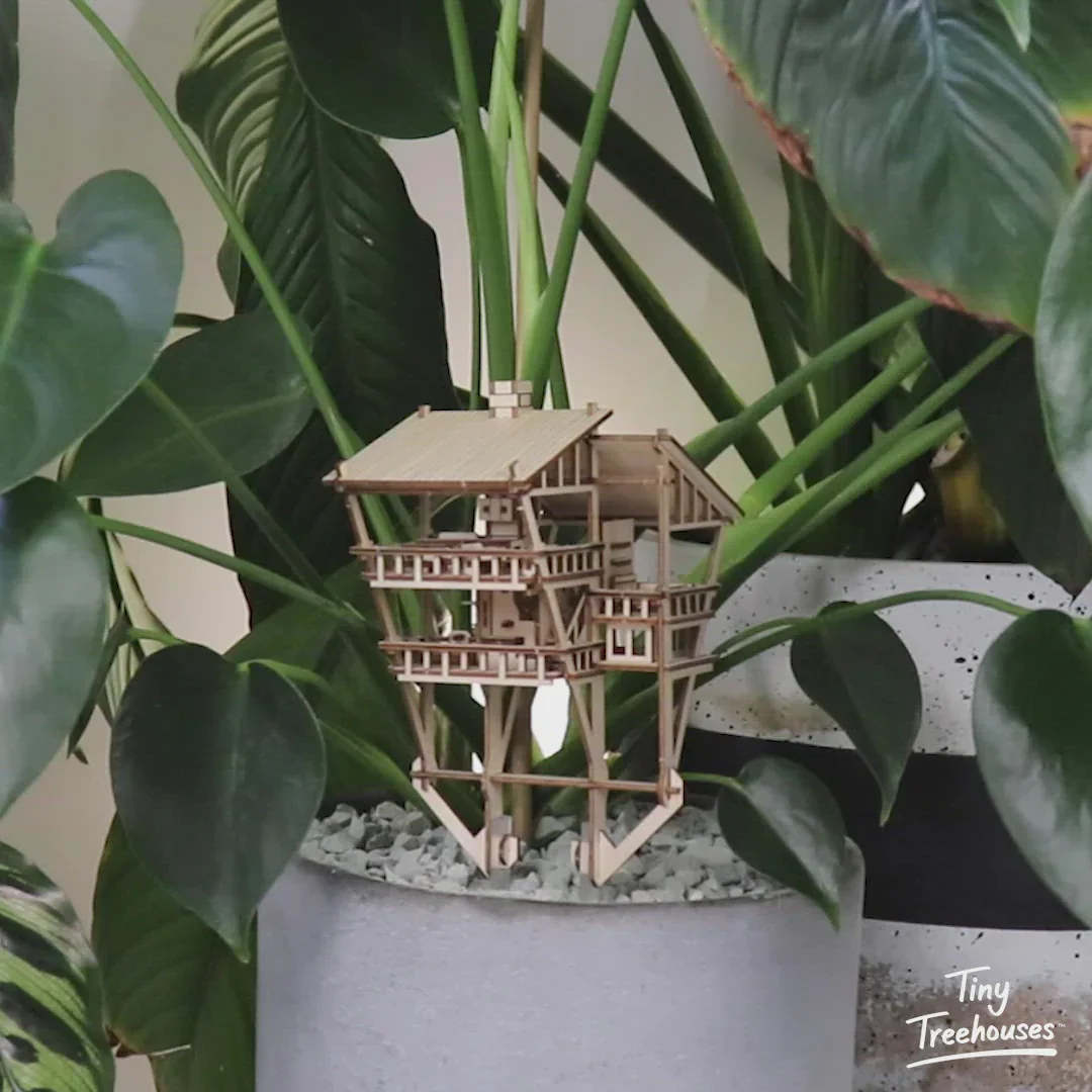 Tropical Lookout - Image 5