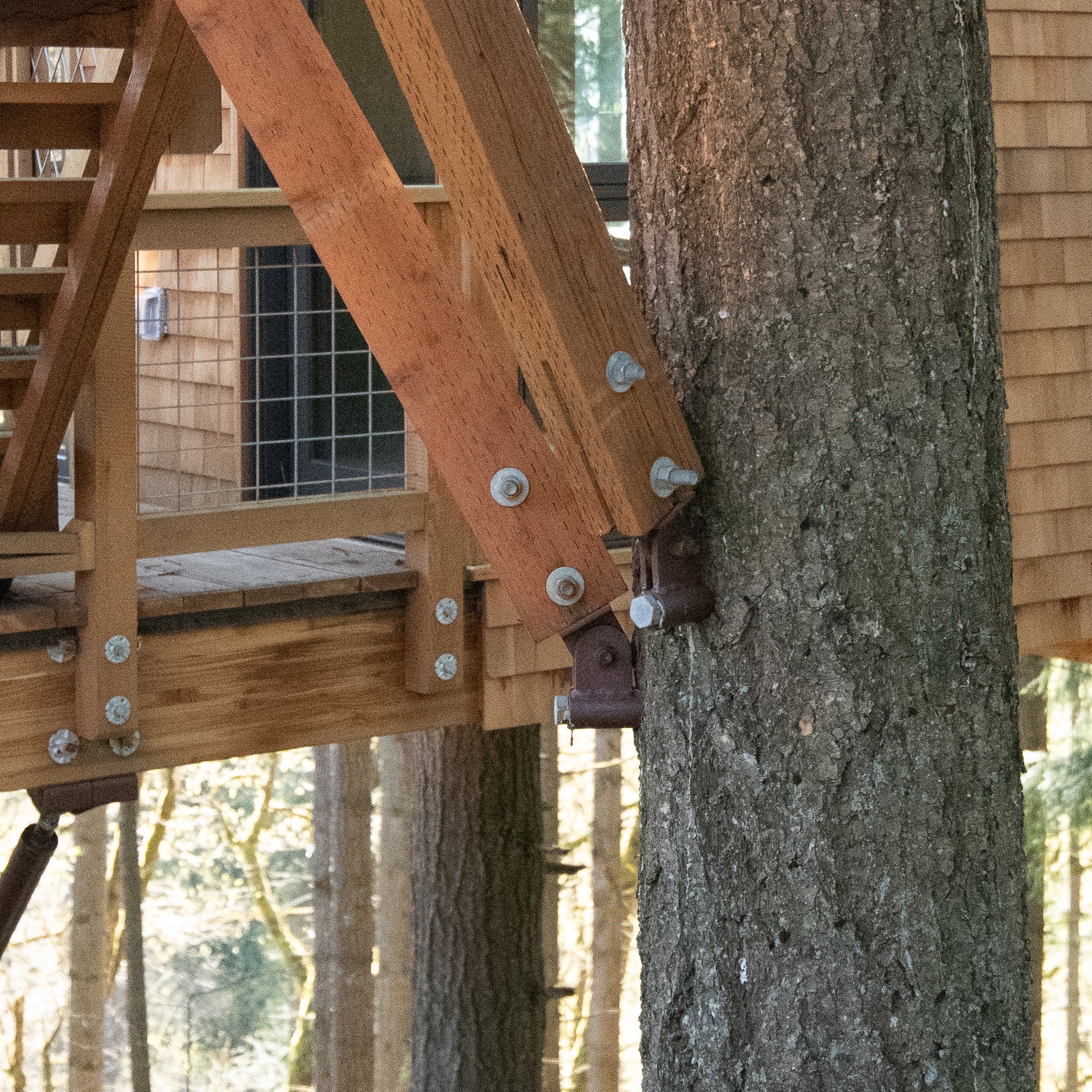 Wood Strut - 1" Lag - Image 3