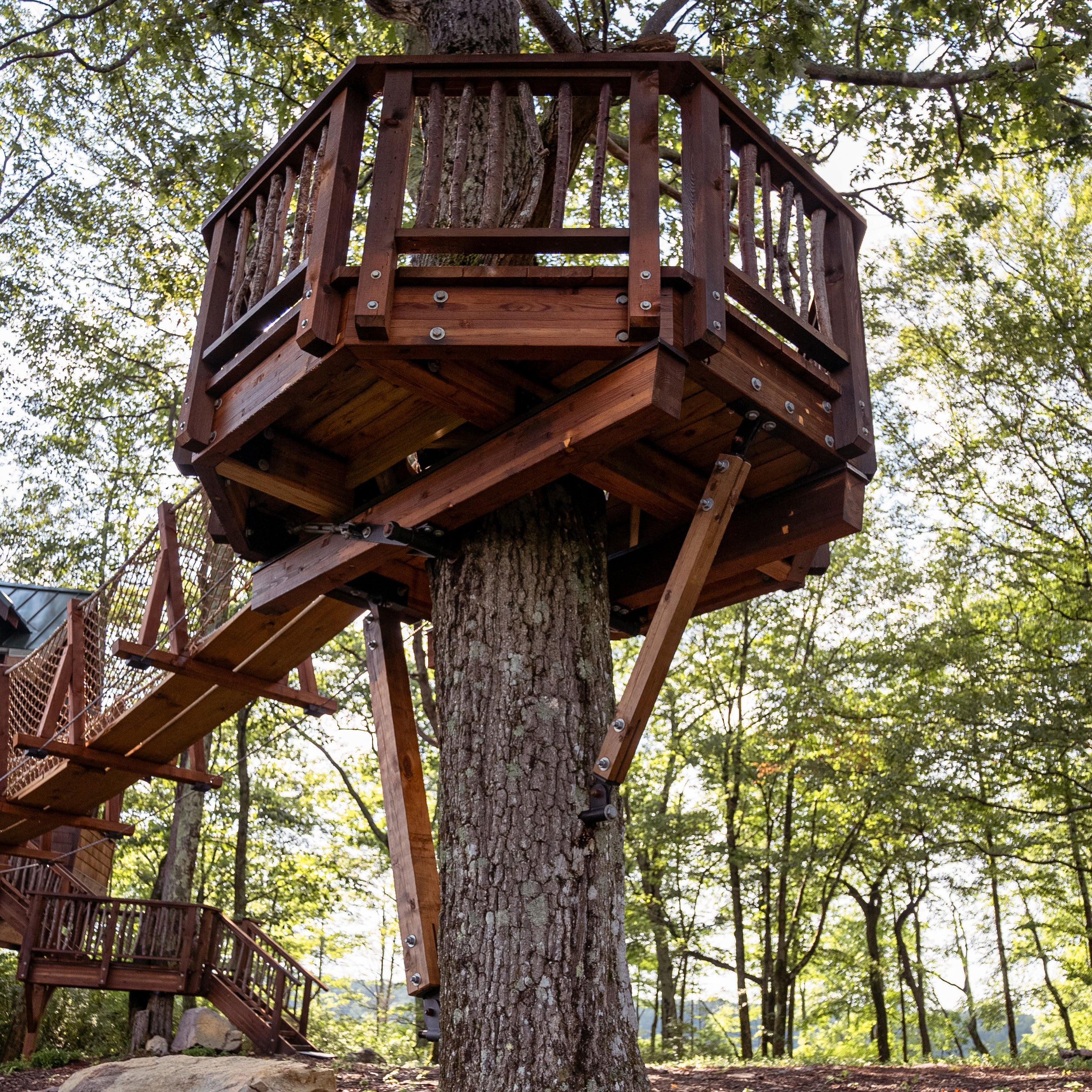 Wood Strut - 1" Lag - Image 6