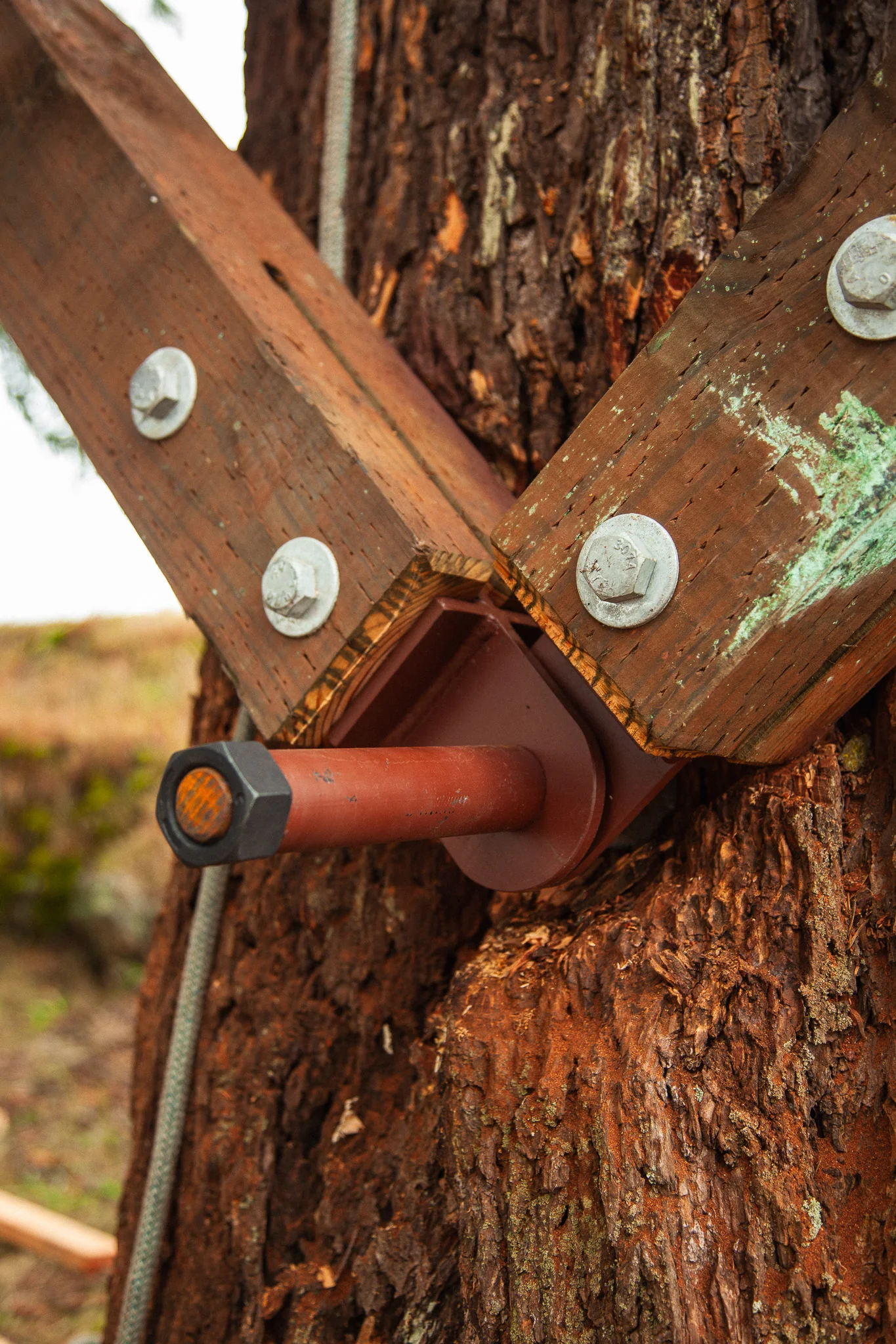 Wood Yoke SL Kit (Static) - Image 3