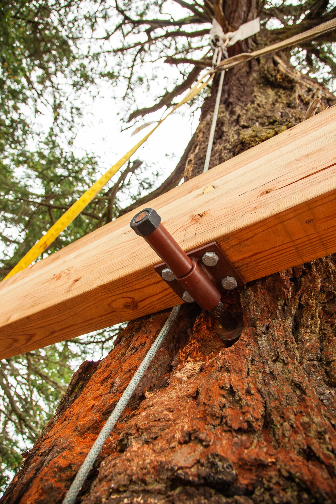 Wood Yoke SL Kit (Static) - Image 6