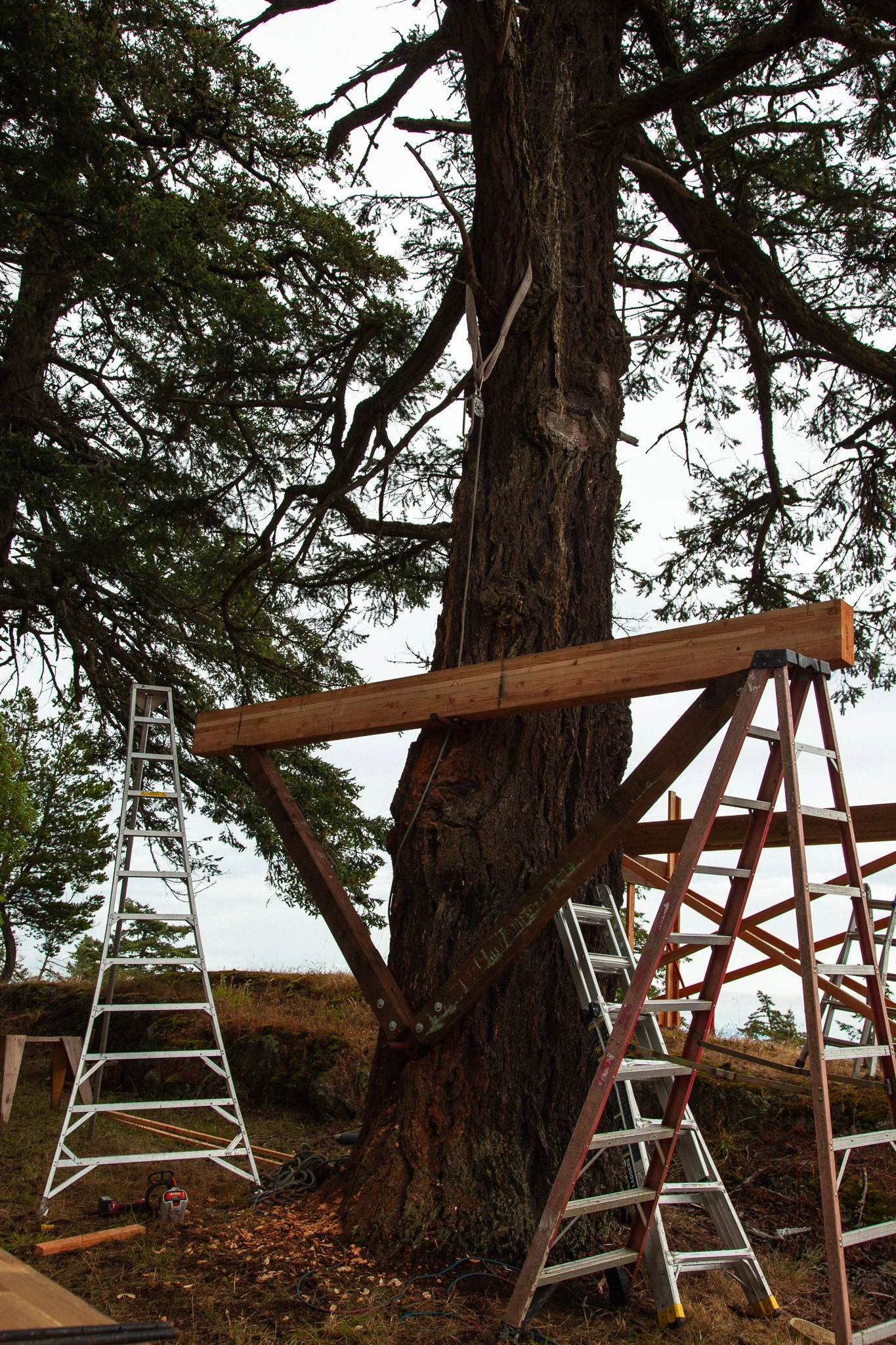 Wood Yoke SL Kit (Static) - Image 7